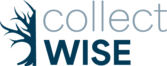 CollectWise logo
